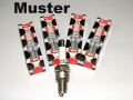 Spark plug set Terios